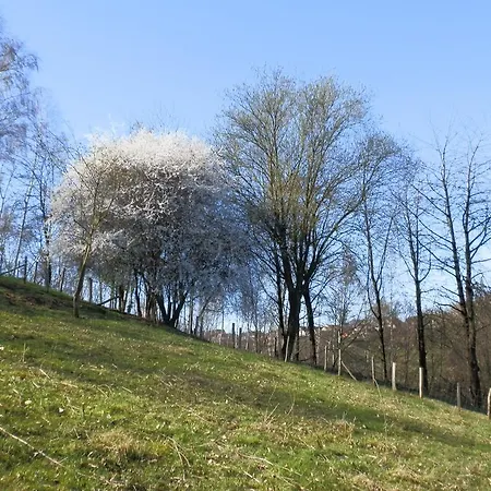 D'r Pletsch Apartamento