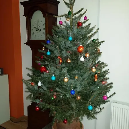 D'r Pletsch Berg en Terblijt