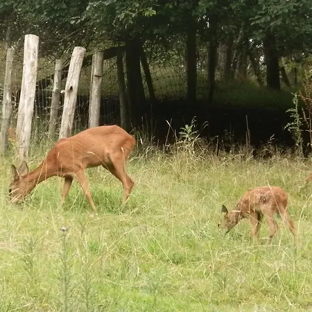 Apartamento D'r Pletsch *