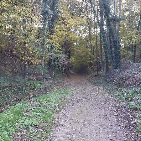 Apartamento D'r Pletsch *