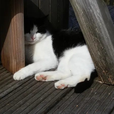 Apartamento D'r Pletsch