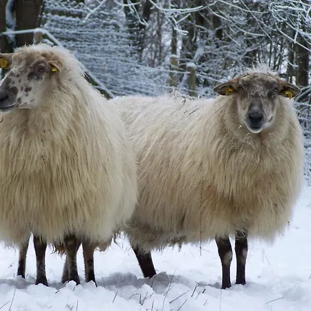 D'r Pletsch Berg en Terblijt