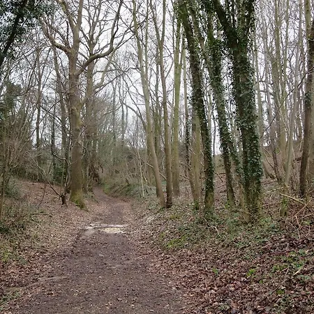 D'r Pletsch Apartamento *