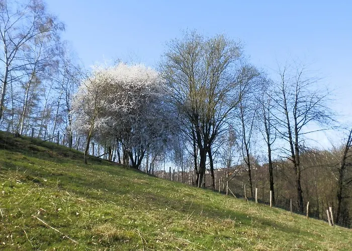 D'r Pletsch Apartamento