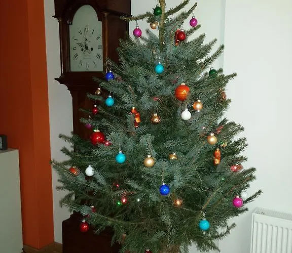 D'r Pletsch Berg en Terblijt