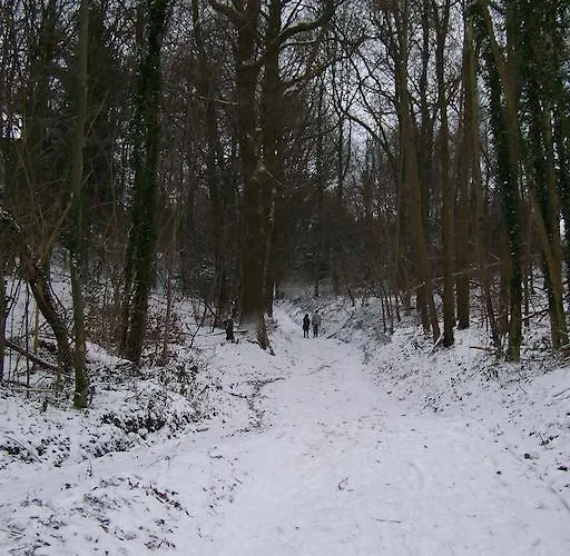 Daire D'r Pletsch Berg en Terblijt