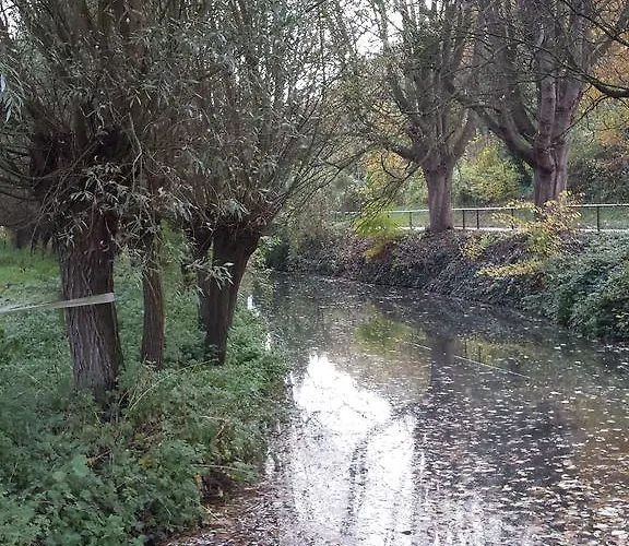 D'r Pletsch Berg en Terblijt