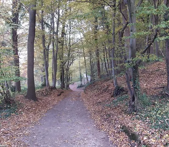 Daire D'r Pletsch Berg en Terblijt