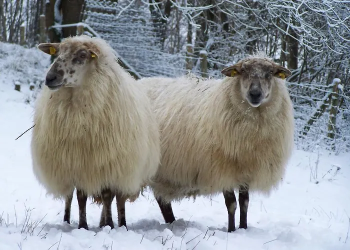 D'r Pletsch Berg en Terblijt