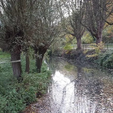 D'r Pletsch ベルグ・エン・テルブレイト