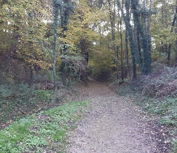 Διαμέρισμα D'r Pletsch *